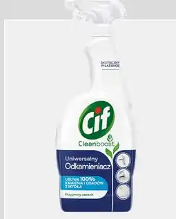 Rossmann Spray do czyszczenia łazienki, uniwersalny odkamieniacz oferta