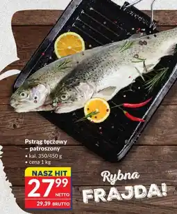 Makro Pstrąg tęczowy - patroszony oferta