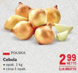 Makro Cebula oferta
