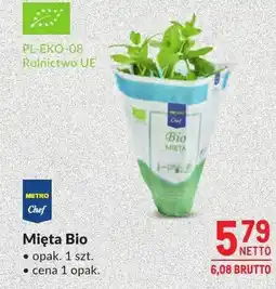 Makro Mięta Bio oferta