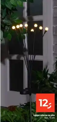 Dealz Lampa solarna na piku oferta
