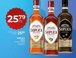 Duży Ben Soplica wybrane rodzaje oferta