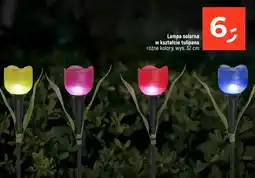 Dealz Lampa solarna w kształcie tulipana różne kolory oferta