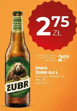 Duży Ben Piwo żubr oferta
