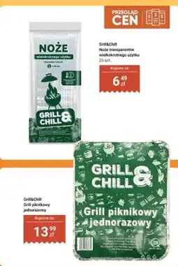 Dino Grill piknikowy jednorazowy oferta