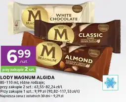 Stokrotka Express Lody Magnum oferta