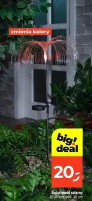 Dealz Światłowód solarny oferta