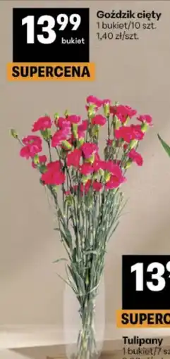 Delikatesy Centrum Goździk Tulipany oferta