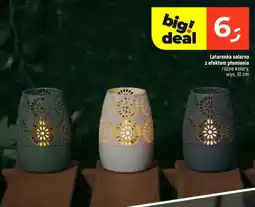 Dealz Latarenka solarna z efektem płomienia różne kolory oferta