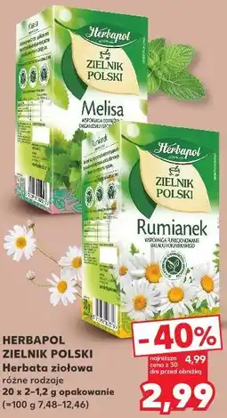 Kaufland HERBAPOL ZIELNIK POLSKI Herbata ziołowa oferta