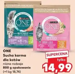 Kaufland ONE Sucha karma dla kotów różne rodzaje oferta