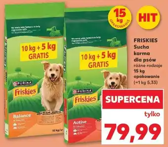 Kaufland FRISKIES Sucha karma dla psów różne rodzaje oferta