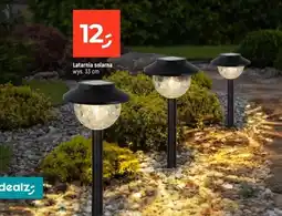 Dealz Latarnia Dealz oferta