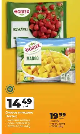 Odido Owoce mrożone Hortex oferta