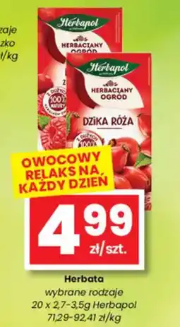 EMMA market Herbata Herbapol oferta