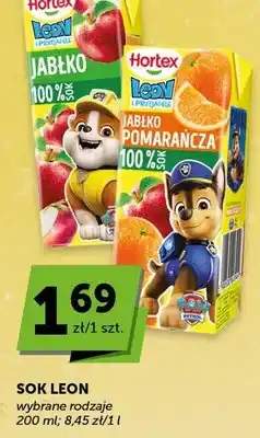 ABC Sok Leon wybrane rodzaje oferta