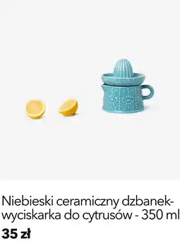 Flying Tiger Niebieski ceramiczny dzbanek- wyciskarka do cytrusów oferta