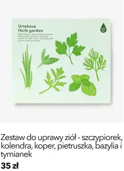 Flying Tiger Zestaw do uprawy ziół - szczypiorek, kolendra, koper, pietruszka, bazylia i tymianek oferta