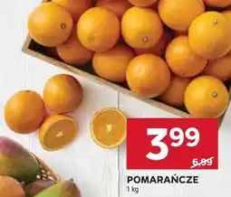 Stokrotka POMARAŃCZE oferta