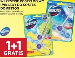 Stokrotka WSZYSTKIE KOSTKI DO WC I WKŁADY DO KOSTEK DOMESTOS oferta