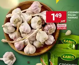 Stokrotka Czosnek polski Harnaś oferta