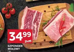 Stokrotka SZPONDER WOŁOWY oferta