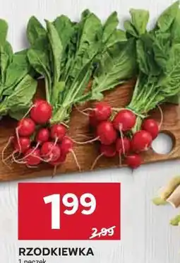 Stokrotka RZODKIEWKA 1 pęczek oferta