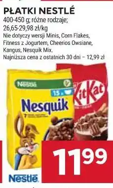 Stokrotka Płatki Nestlé oferta