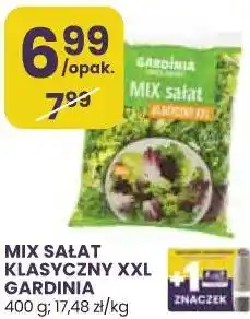 Stokrotka MIX SAŁAT KLASYCZNY XXL GARDINIA oferta