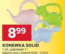 Stokrotka KONEWKA SOLID oferta