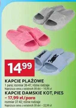 Stokrotka KAPCIE PLAŻOWE KAPCIE DAMSKIE KOT , PIES oferta