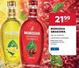 Stokrotka MOROSHA SMAKOWA oferta