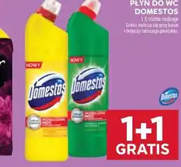 Stokrotka PŁYN DO WC DOMESTOS oferta
