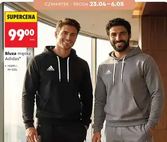 Bluza męska