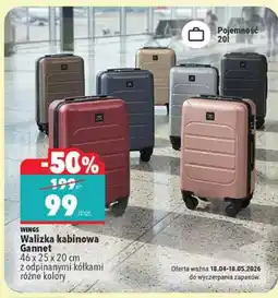 Biedronka Walizka kabinowa Gannet 46 x 25 x 20 cm z odpinannymi kółkami różne kolory oferta