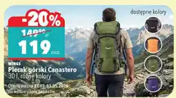 Biedronka Plecak górski Canastero 30 l, różne kolory oferta