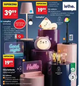 Biedronka Oświetlenie dekoracyjne oferta