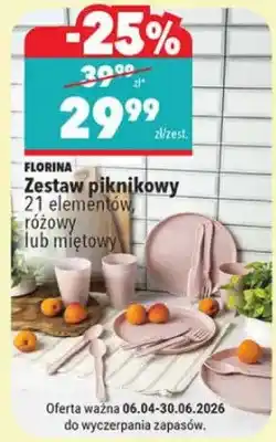 Biedronka Zestaw piknikowy 21 elementów różowy lub miętowy oferta
