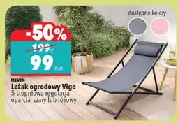 Biedronka Leżak ogrodowy Vigo 5-stopniowa regulacja oparcia, szary lub różowy oferta
