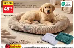 Biedronka Legowisko oferta