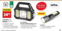 Biedronka Latarka oferta