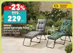 Biedronka Leżak ogrodowy Tulon wielopozycyjny, zielony lub szary oferta