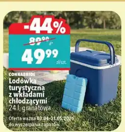Biedronka Lodówka turystyczna z wkładami chłodzącymi 24 l, granatowa oferta