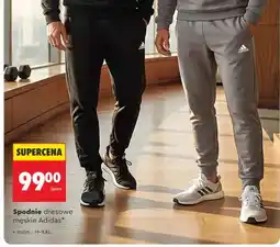 Biedronka Spodnie dresowe męskie oferta