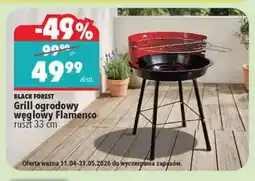 Biedronka Grill ogrodowy węglowy Flamenco ruszt 33 cm oferta