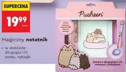 Biedronka Magiczny notatnik oferta