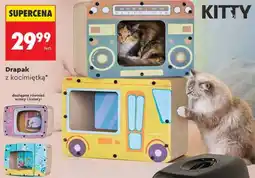 Biedronka Drapak z kocimiętką KITTY oferta