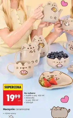 Biedronka Naczynie ceramiczne oferta