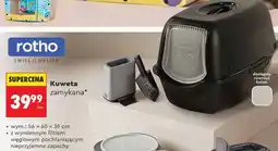 Biedronka Kuweta zamykana rotho oferta