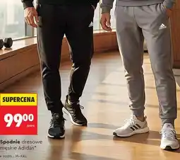 Biedronka Spodnie dresowe męskie Adidas oferta